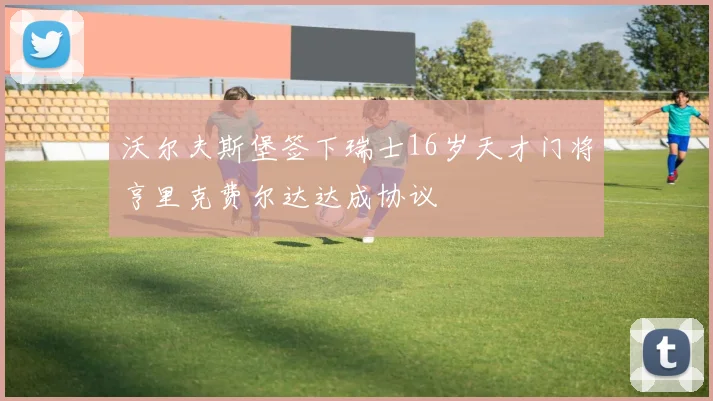 沃尔夫斯堡签下瑞士16岁天才门将亨里克费尔达达成协议