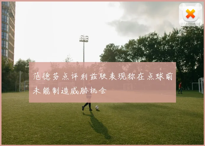 范德芬点评利兹联表现称在点球前未能制造威胁机会
