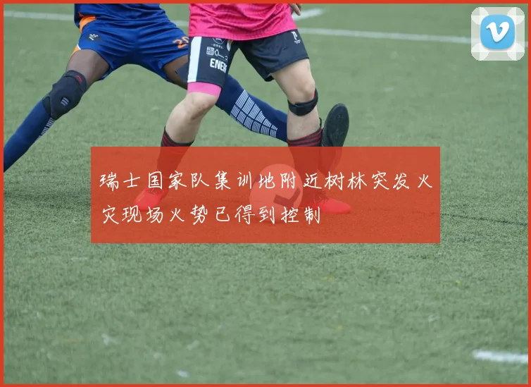 瑞士国家队集训地附近树林突发火灾现场火势已得到控制